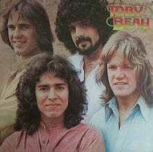 Load image into Gallery viewer, Toby Beau : More Than A Love Song (LP, Album)