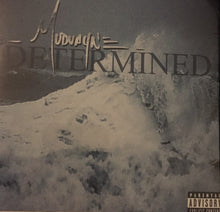Load image into Gallery viewer, Mudvayne : Determined (CD, Single, Promo)