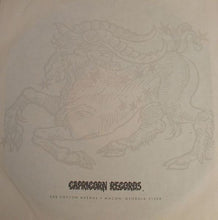 Load image into Gallery viewer, Easy Street (2) : Under The Glass (LP, Album, Los)