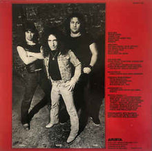 Load image into Gallery viewer, The Rods : The Rods (LP, Album)