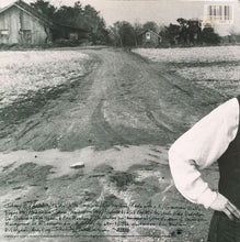 Load image into Gallery viewer, The Hooters : One Way Home (LP, Album, Car)