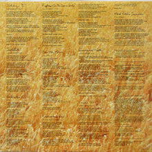 Load image into Gallery viewer, The Hooters : One Way Home (LP, Album, Car)