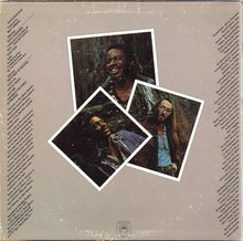 Load image into Gallery viewer, David Sancious : Forest Of Feelings (LP, Album, Pit)