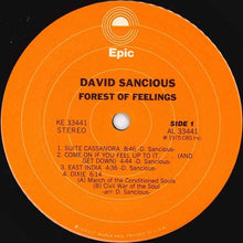 Load image into Gallery viewer, David Sancious : Forest Of Feelings (LP, Album, Pit)