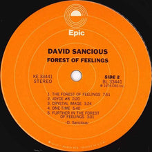 Load image into Gallery viewer, David Sancious : Forest Of Feelings (LP, Album, Pit)