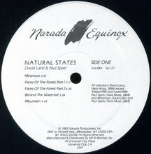 Load image into Gallery viewer, David Lanz &amp; Paul Speer : Natural States (LP, Album)