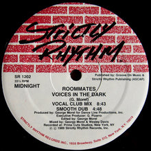 Load image into Gallery viewer, Roommates : Voices In The Dark (12&quot;)