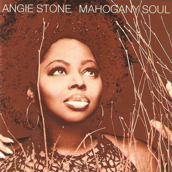 Angie Stone : Mahogany Soul (CD, Album)