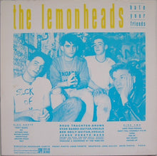 Load image into Gallery viewer, The Lemonheads : Hate Your Friends (LP, Album, Blu)