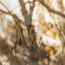 Load image into Gallery viewer, Deborah Martin ~ Erik Wøllo : Between Worlds (CD, Album)