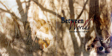 Load image into Gallery viewer, Deborah Martin ~ Erik Wøllo : Between Worlds (CD, Album)