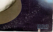 Load image into Gallery viewer, Paul Brett : Interlife (LP, Album)