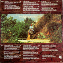 Load image into Gallery viewer, David Soul : David Soul (LP, Album, Ter)