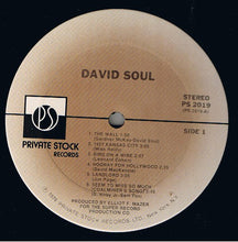 Load image into Gallery viewer, David Soul : David Soul (LP, Album, Ter)