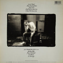 Load image into Gallery viewer, Glenn Frey : Soul Searchin' (LP, Album)