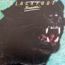 Load image into Gallery viewer, Blackfoot (3) : Tomcattin' (LP, Album, SP )