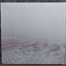Load image into Gallery viewer, Slowdive : Slowdive (LP, Album, Ltd, Vio)