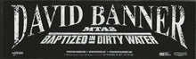 Load image into Gallery viewer, David Banner : MTA2: Baptized In Dirty Water (2x12&quot;, Promo)