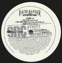 Load image into Gallery viewer, David Banner : MTA2: Baptized In Dirty Water (2x12&quot;, Promo)