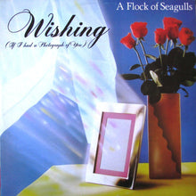 Load image into Gallery viewer, A Flock Of Seagulls : Wishing (If I Had A Photograph Of You) (12&quot;, Promo, Pic)