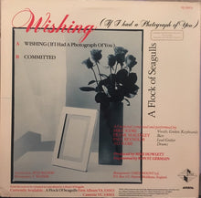 Load image into Gallery viewer, A Flock Of Seagulls : Wishing (If I Had A Photograph Of You) (12&quot;, Promo, Pic)