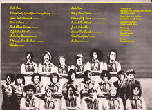 Load image into Gallery viewer, Spitballs : Spitballs (LP, Album)
