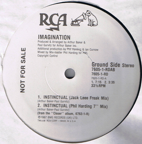 Imagination : Instinctual (12