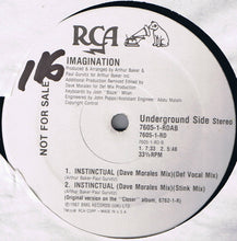 Load image into Gallery viewer, Imagination : Instinctual (12&quot;, Promo)
