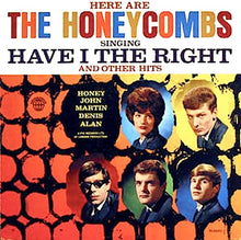 Load image into Gallery viewer, The Honeycombs : Here Are The Honeycombs (LP, Album, Mono, RE)