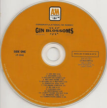 Load image into Gallery viewer, Gin Blossoms : Congratulations I&#39;m Sorry (CD, Album, Club)