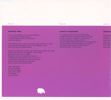 Load image into Gallery viewer, The Promise Ring : Electric Pink (CD, Single)