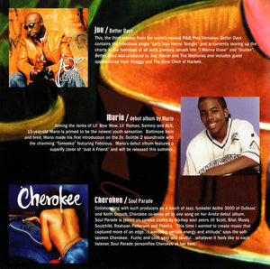 Various : Black History Month 2002 Sampler (CD, Comp, Promo)