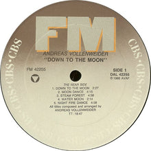Load image into Gallery viewer, Andreas Vollenweider : Down To The Moon (LP, Album, Car)