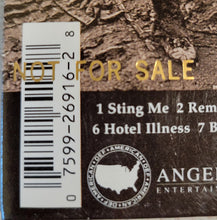 Load image into Gallery viewer, The Black Crowes : The Southern Harmony And Musical Companion (CD, Album, Promo, Dig)