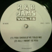 Load image into Gallery viewer, Various : R&amp;B Jams Vol. 16 (12&quot;, Unofficial)