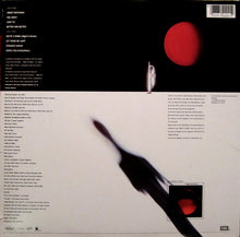 Load image into Gallery viewer, Tyzik* : Radiance (LP, Album, Win)