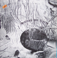 Load image into Gallery viewer, Thirteen-One-Eleven : My Bible Is The Latest T.V. Guide (12&quot;)