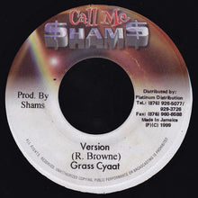 Load image into Gallery viewer, Mr. Vegas : Shout It Out (7")