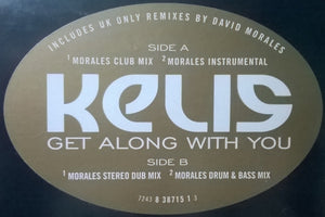 Kelis : Get Along With You (12")