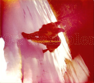 Various : Polyvinyl 2004 Sampler (CD, Comp, Promo)