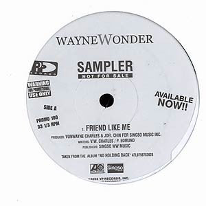 Wayne Wonder : Friend Like Me / Enemies (12", Promo)