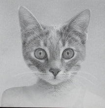 Load image into Gallery viewer, The Samples (2) : Outpost (CD, Album)