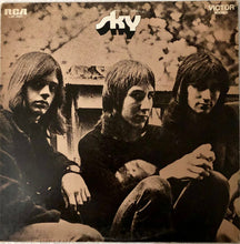 Load image into Gallery viewer, Sky (20) : Don't Hold Back (LP, Album, Hol)