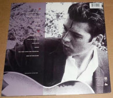 Load image into Gallery viewer, Joe Henry : Murder Of Crows (LP, Album)