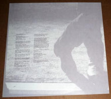 Load image into Gallery viewer, Joe Henry : Murder Of Crows (LP, Album)