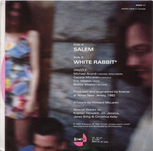 Load image into Gallery viewer, Drizzle : Salem (7&quot;, Single, Pin)