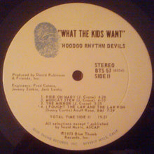 Load image into Gallery viewer, Hoodoo Rhythm Devils : What The Kids Want (LP, Album)