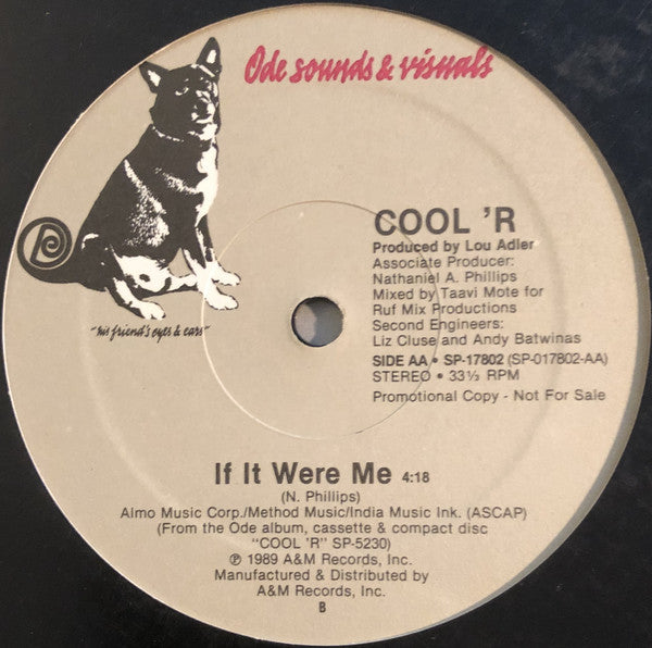 Cool'r : If It Were Me (12