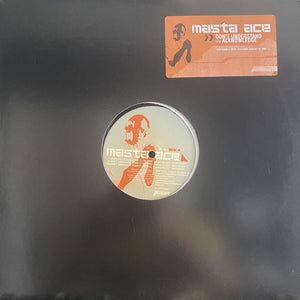 Masta Ace : Don't Understand (Pump It Like This) / Acknowledge (12", Promo)