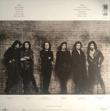 Load image into Gallery viewer, Ashton (4) : Modern Pilgrims (LP, Album)